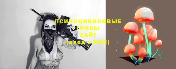 стафф Горняк