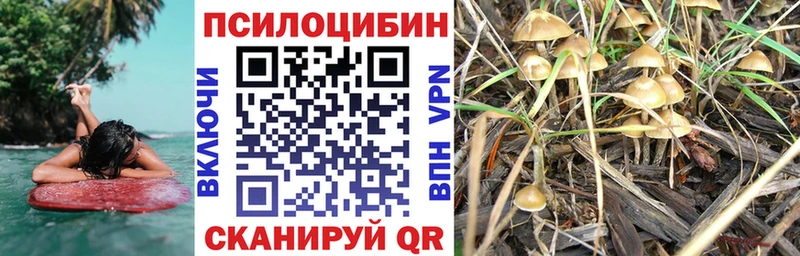 Псилоцибиновые грибы ЛСД  Купить закладки  Ковдор 