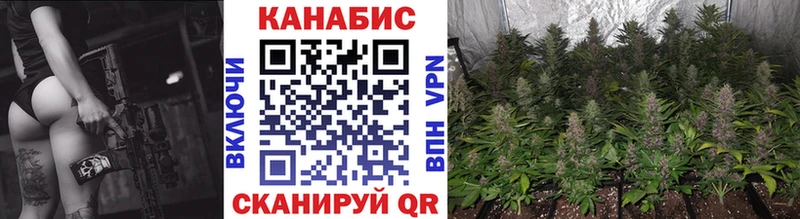 Бошки марихуана ГИДРОПОН  Купить где  Ковдор 